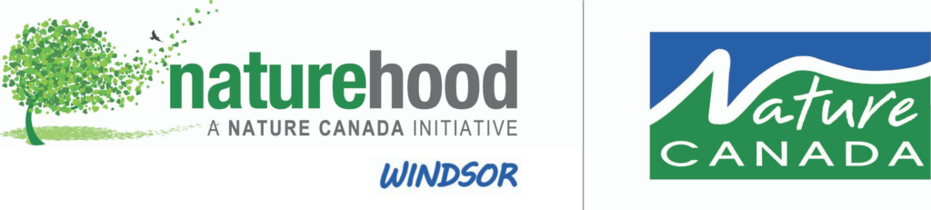 NatureHood Windsor logo